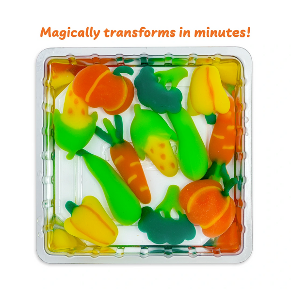Veggie Garden Aqua Squish Kit